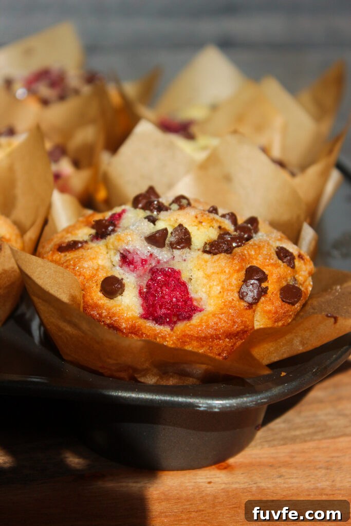 Tray of muffins