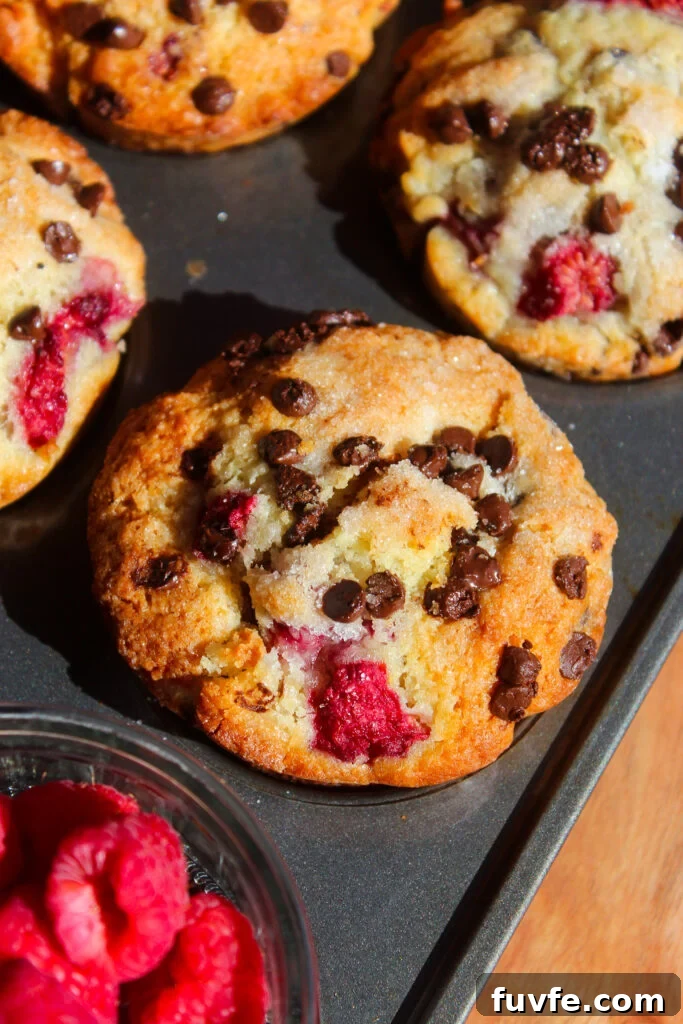 Muffin cross-section