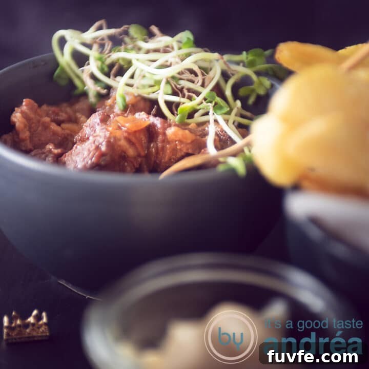 Carbonade flammande in a gray bowl with some fries