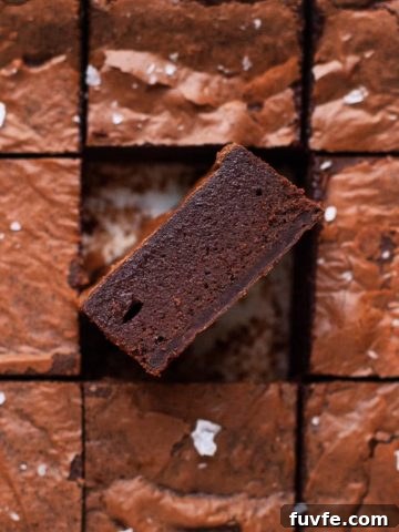 A piece of fudge brownie standing on its side to show the fudgy interior