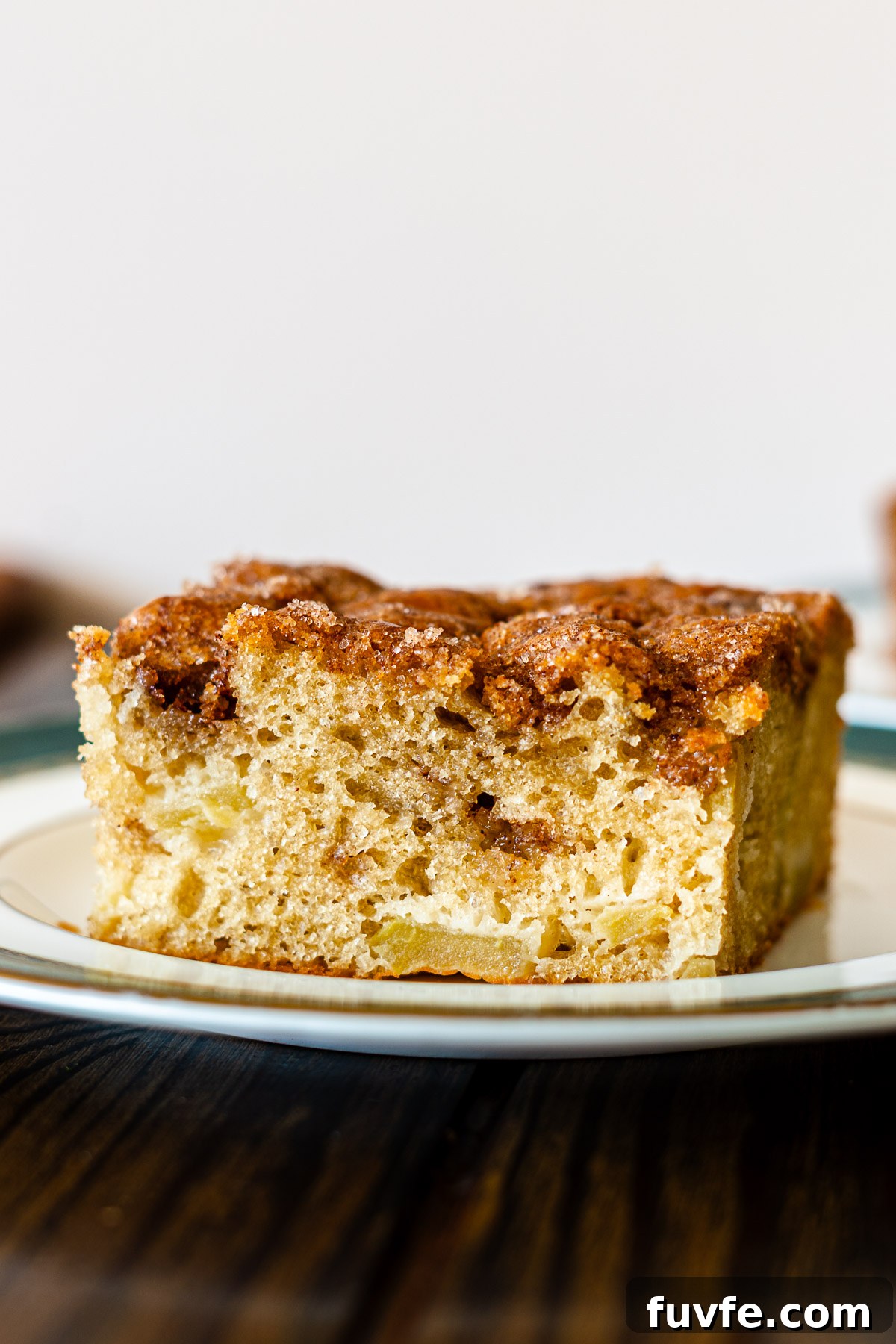 Cinnamon Sugar Apple Cake Recipe — Moist Spiced Apple Cake 3 img 21377 2