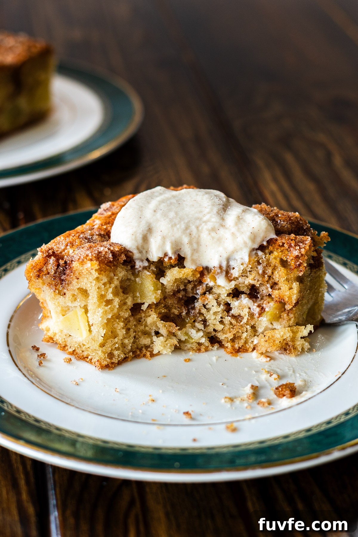 Cinnamon Sugar Apple Cake Recipe — Moist Spiced Apple Cake 6 img 21377 5