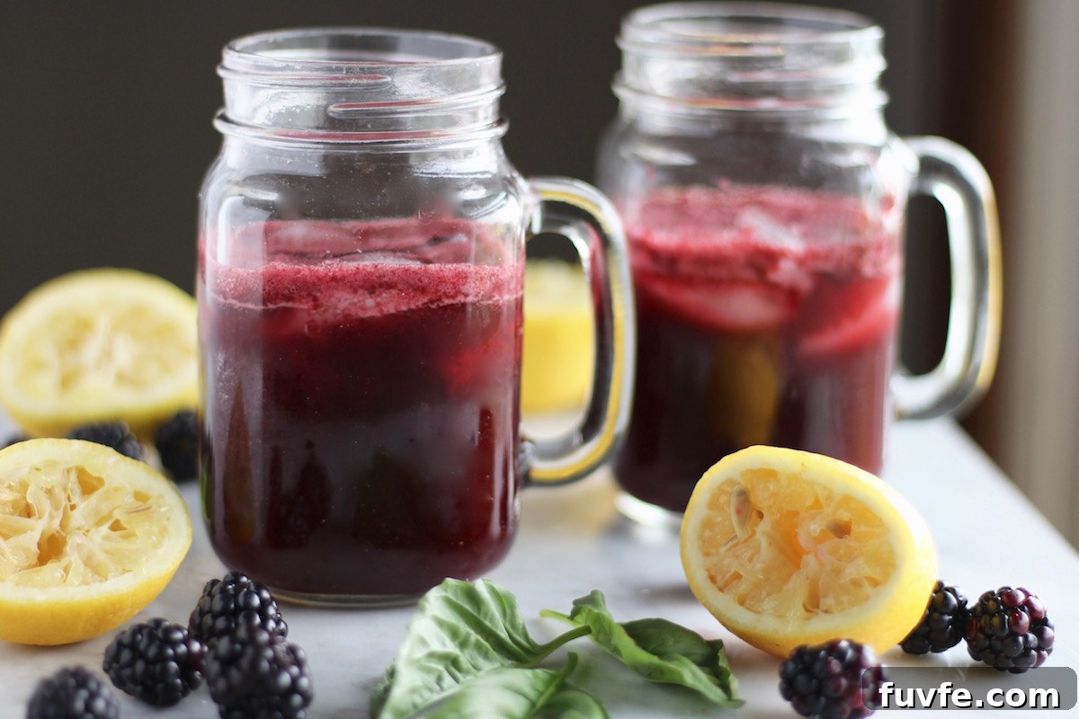 Blackberry Lemon Basil Fizz - a perfect alternative to juice and soda! This fruit and honey-sweetened beverage is incredible! | fedandfulfilled.com