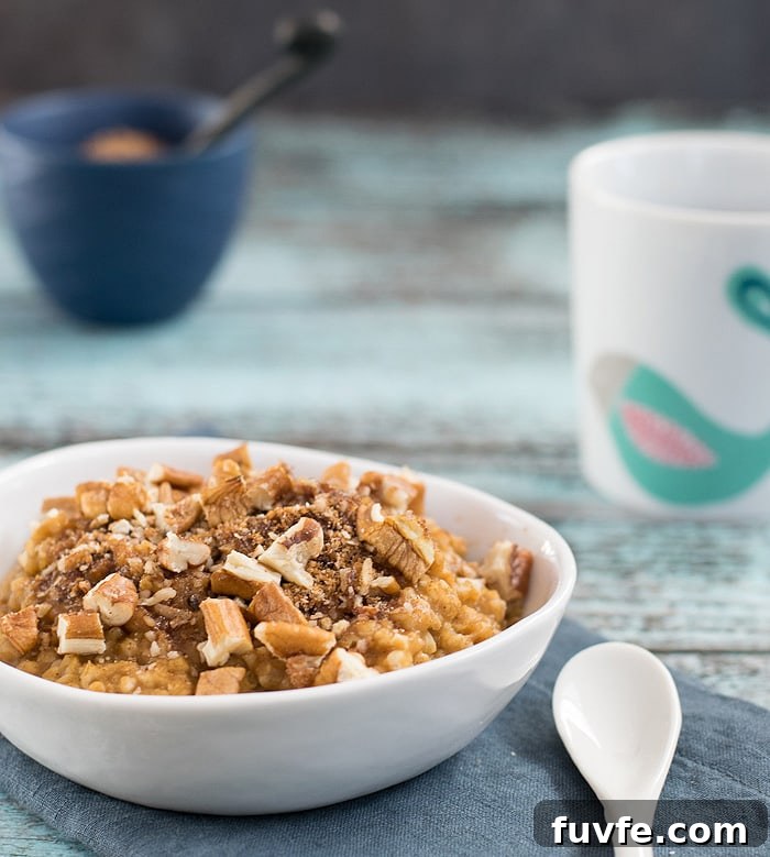 Vegan Slow-Cooker Pumpkin Steel-Cut Oats Recipe 2 Vegan Slow Cooker Pumpkin Steel Cut Oats with a coffeecake topping in a white bowl