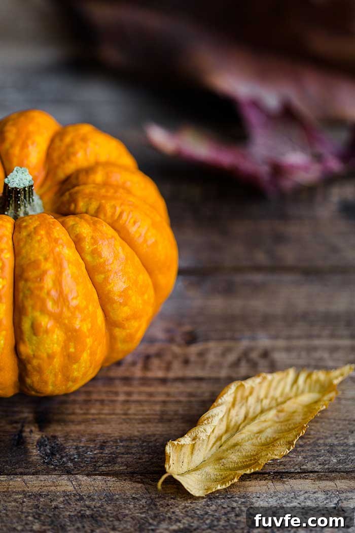 Vegan Slow-Cooker Pumpkin Steel-Cut Oats Recipe 3 pumpkin and fall leaves