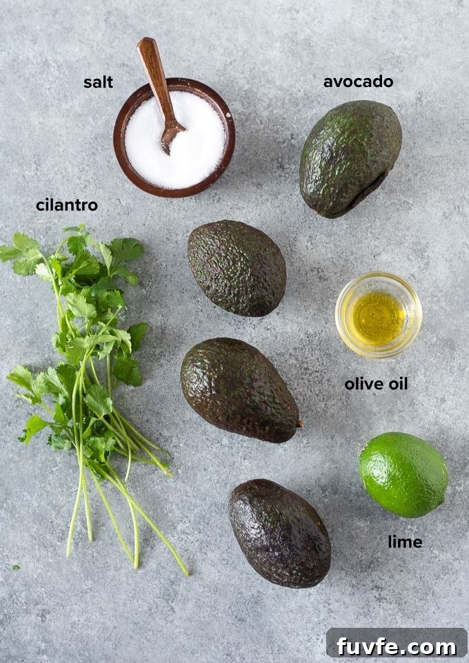 Homemade Guacamole with Lime, Cilantro and Jalapeño 4 Guacamole recipe ingredients