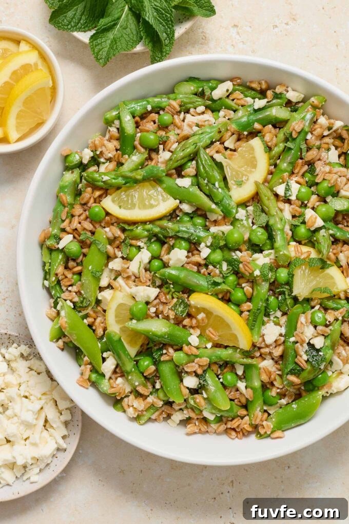 Spring Farro Salad with Feta, Peas and Lemon 2 Spring farro salad in a white serving bowl