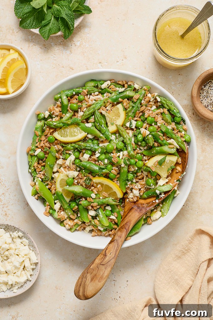 Farro salad with feta in a bowl with a serving spoon digging in