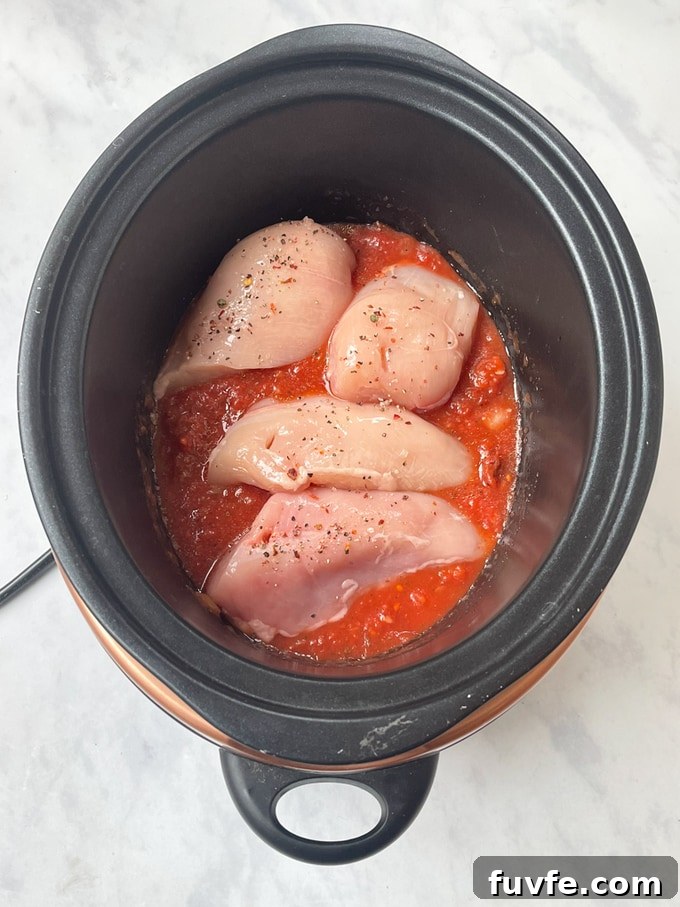 Sun-Dried Tomato Chicken and Pasta Made in a Slow Cooker 4 all raw ingredients in a slow cooker
