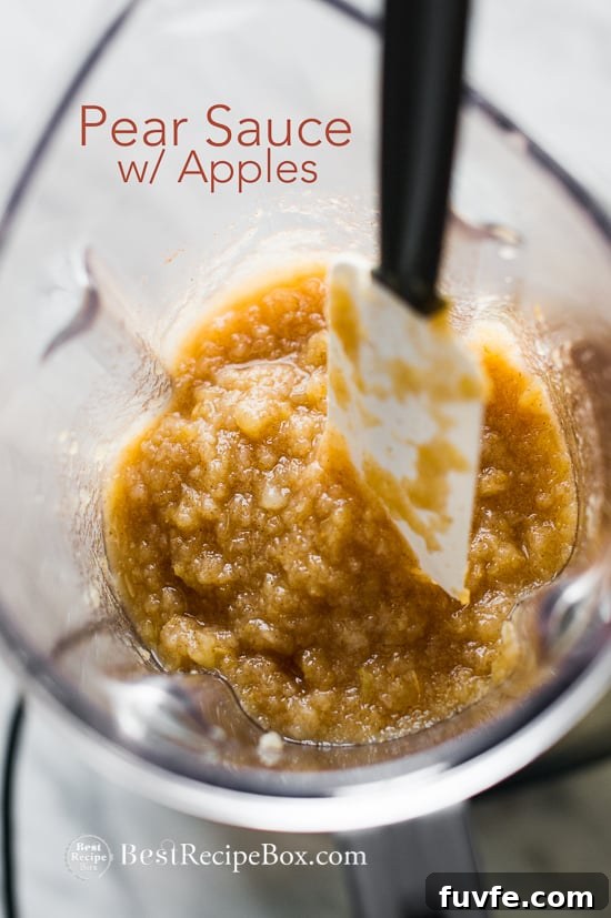 Homemade Pear Applesauce Recipe @bestrecipebox Homemade Pear Apple sauce Recipe in a blender