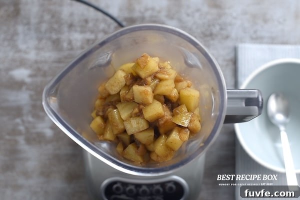 Spiced Pear and Apple Sauce Recipe for Fall 5 Cooked fruit in blender