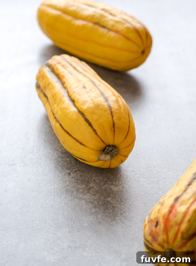 Delicata squash