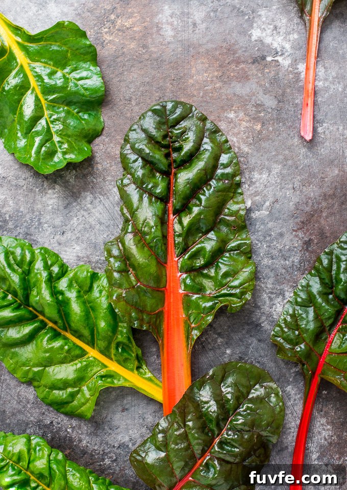Rainbow swiss chard leaves