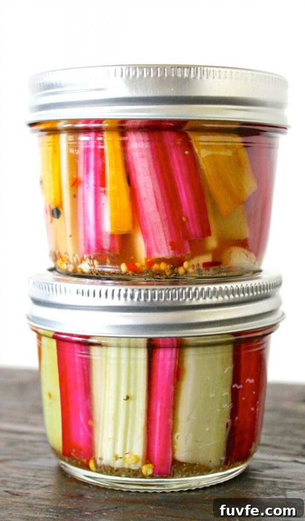 Pickled swiss chard stems in two mini mason jars