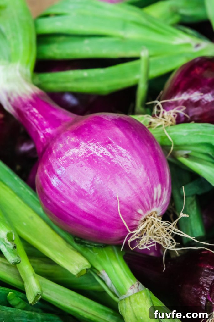 seasonal produce at a farmstand