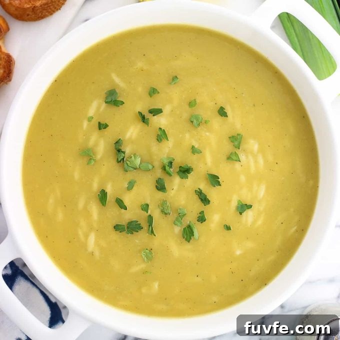 Potato leek soup with orzo in a bowl
