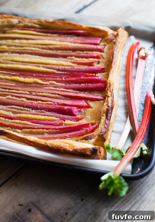 Rhubarb galette on a sheet pan with fresh stalks of rhubarb.