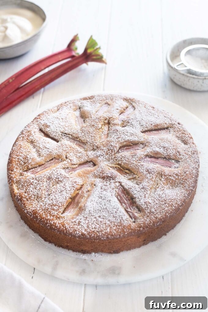 Rhubarb cake on a marble board