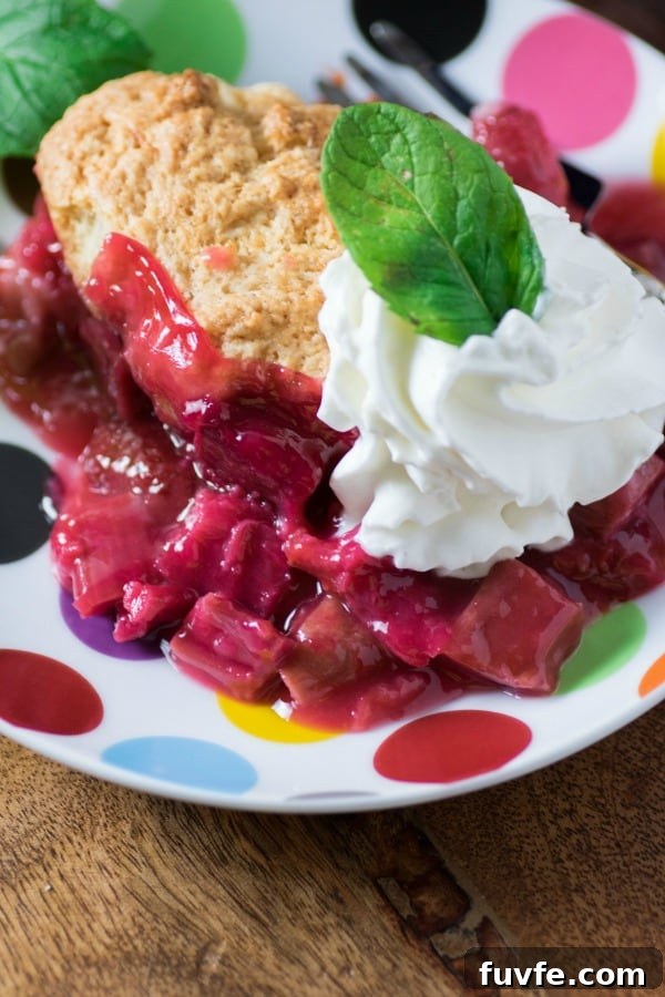 Strawberry rhubarb cobbler on a polka dot plate.