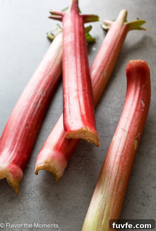 23 Rhubarb Recipes and How to Grow, Store and Use It 3 Rhubarb stalks