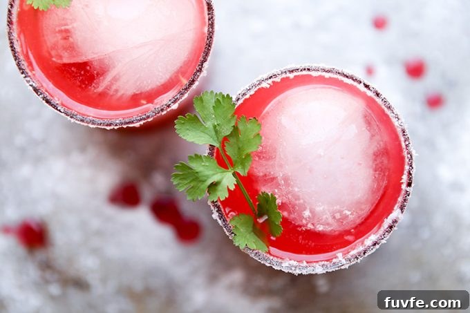 Rhubarb margaritas in glasses garnished with cilantro
