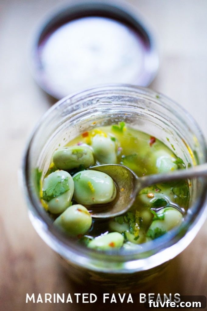 Spoon in a jar of marinated fava beans