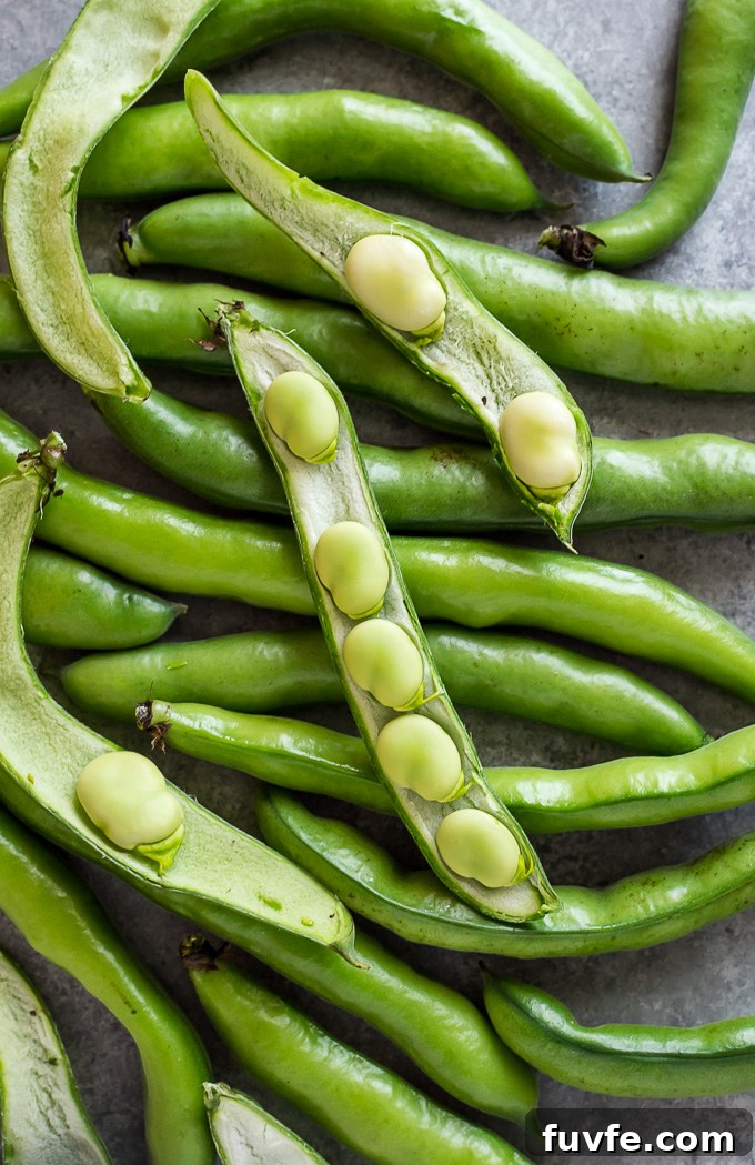 Fava beans with top bean open