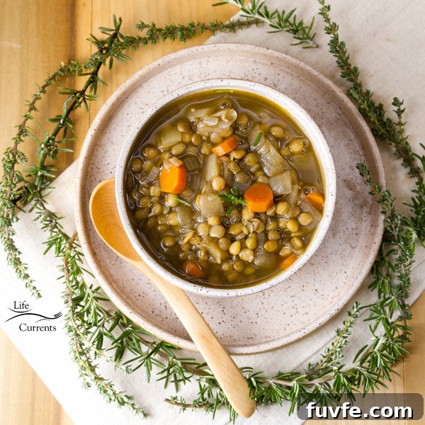 This Lentil Soup is the perfect winter soup