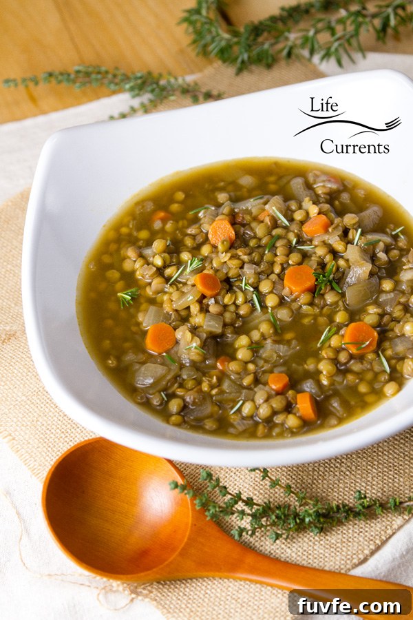 This Lentil Soup is the perfect winter soup Especially if you’re trying to keep new year’s resolutions of eating healthier and losing weight. 