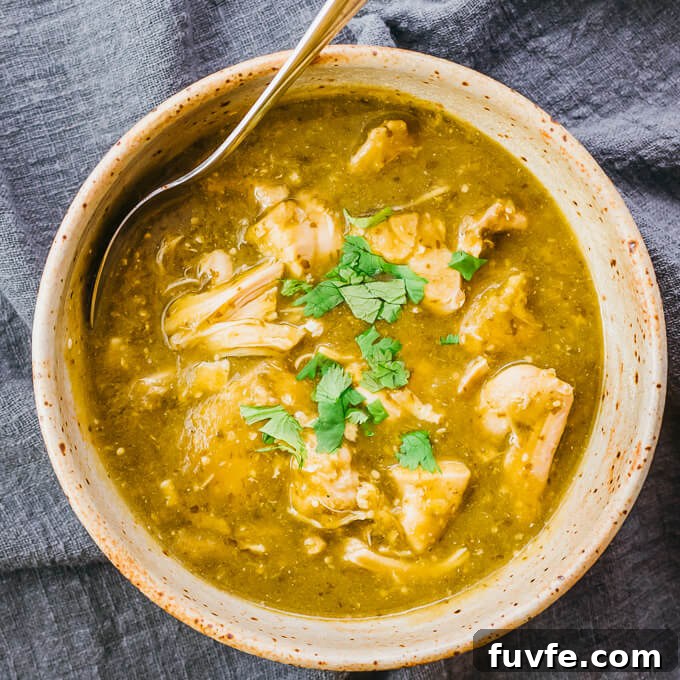 Overhead view of a chili verde.