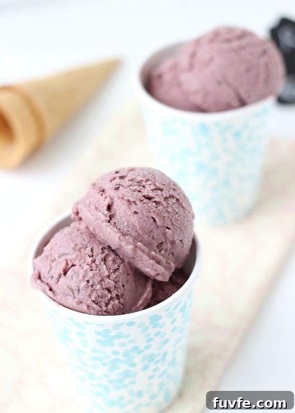 Two blue floral cups filled with scoops of fig ice cream.