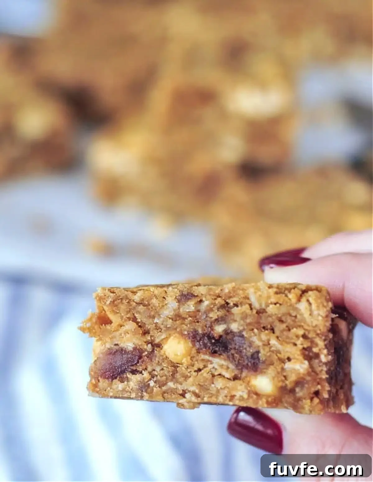 A hand holding a vegan peanut butter bar.