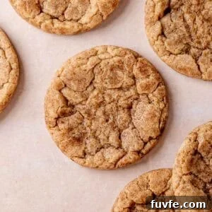 A chewy snickerdoodle cookie made with sourdough discard.