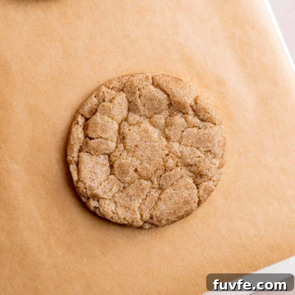 Single snickerdoodle cookie with lightly golden edges.