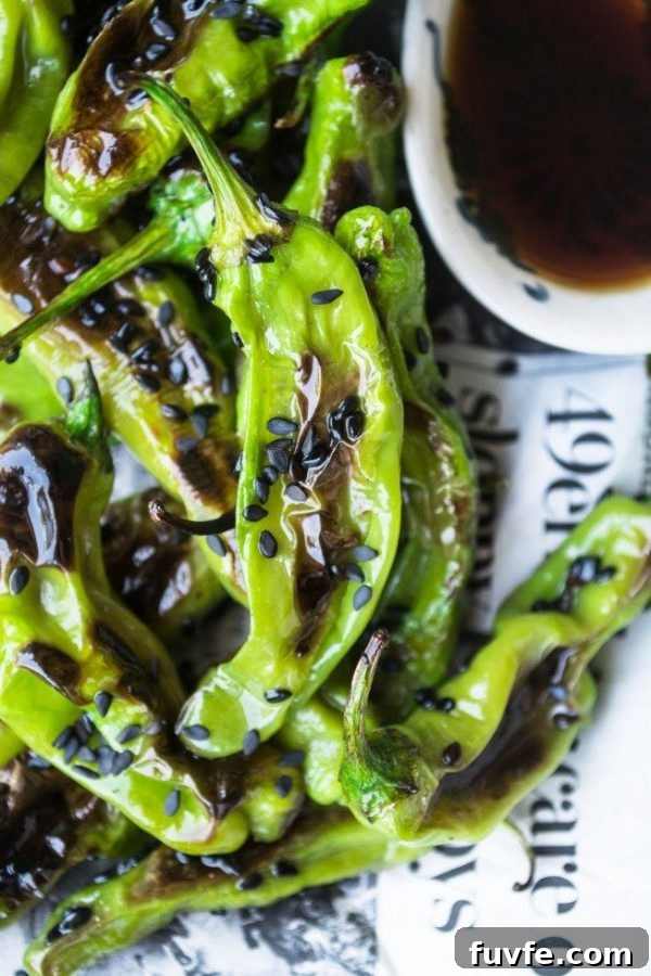 Grilled shishito peppers topped with black sesame seeds
