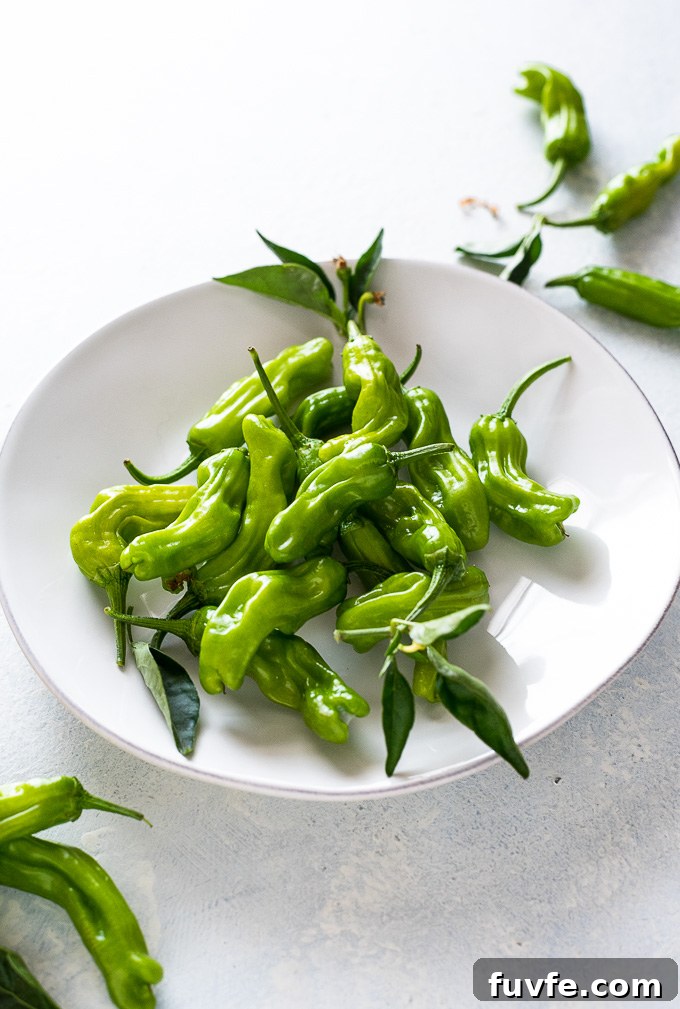 Shishito peppers piled on a plate