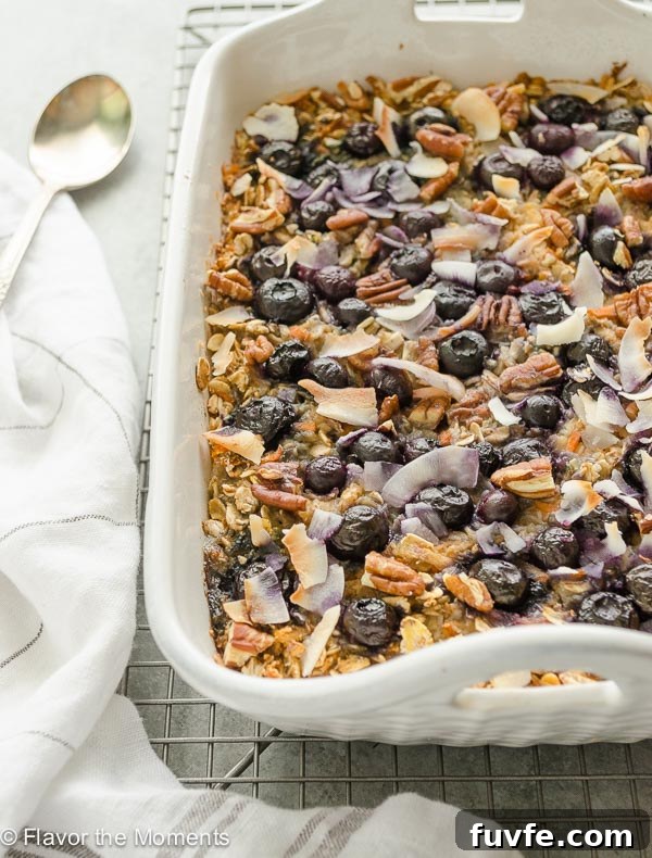Blueberry Morning Glory Baked Oatmeal Recipe 4 close up of blueberry morning glory baked oatmeal