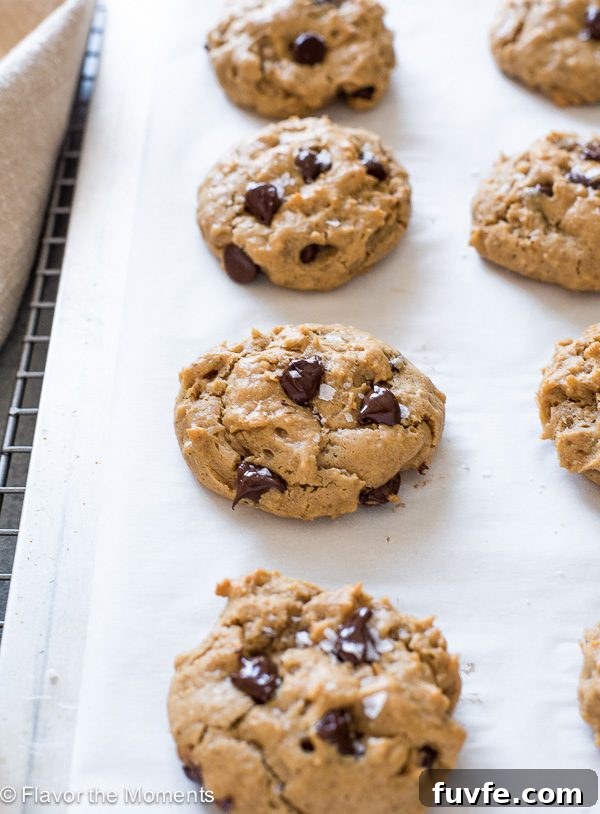 Flourless peanut butter chocolate chip oatmeal cookies on parchment lined baking sheet
