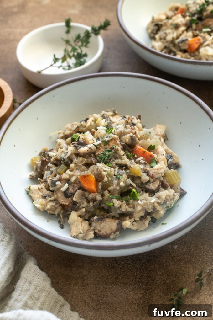 Slow Cooker Creamy Chicken and Wild Rice Casserole 3 Crockpot chicken and wild rice casserole in a bowl.
