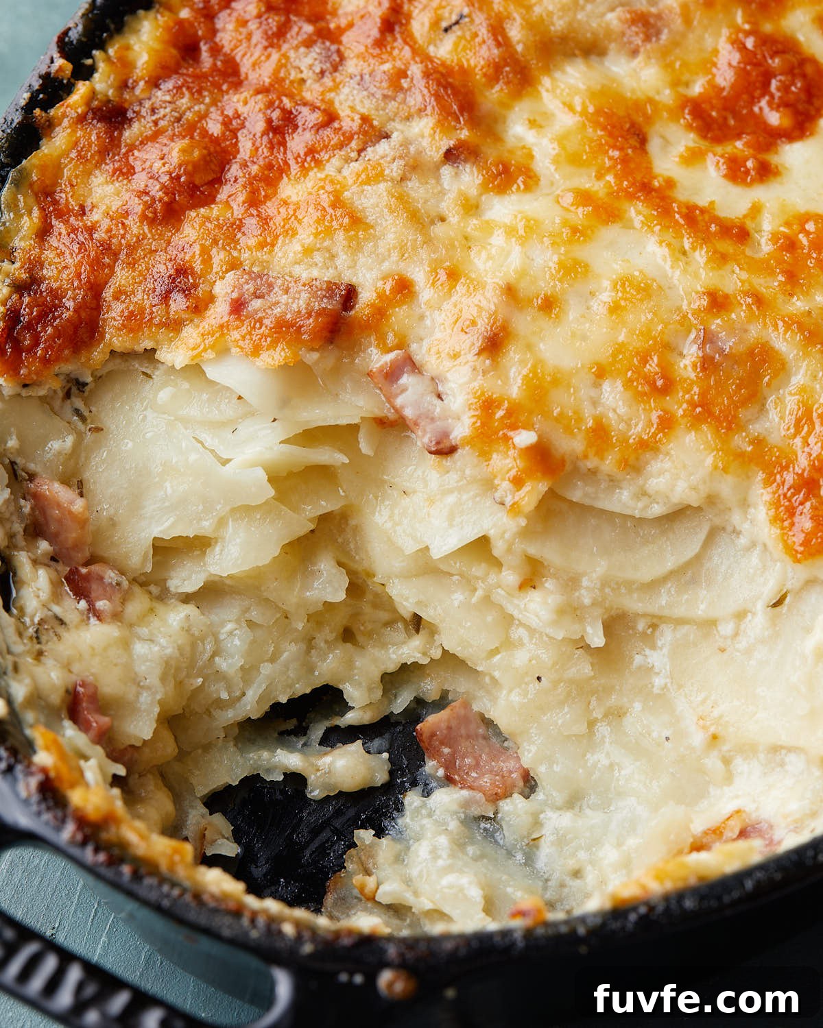 Cheesy Ham and Au Gratin Potatoes Recipe 6 Up close image of au gratin potatoes with ham.