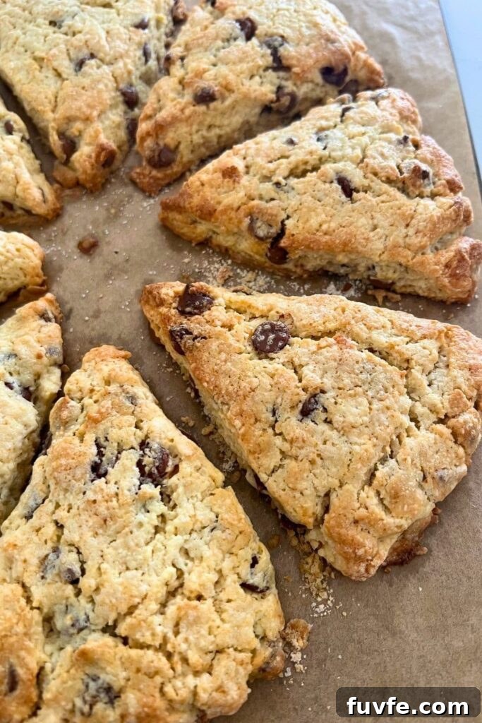 15 Irresistible Chocolate Sourdough Recipes to Try Today 14 Wedges of sourdough chocolate chip scones that have just come out of the oven.