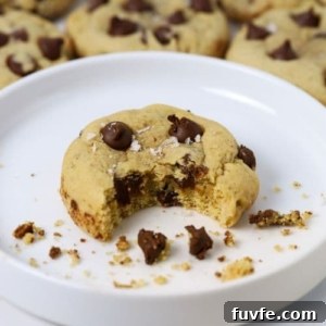15 Irresistible Chocolate Sourdough Recipes to Try Today 20 Sourdough Chocolate Chip Cookies - Recipe Feature Image