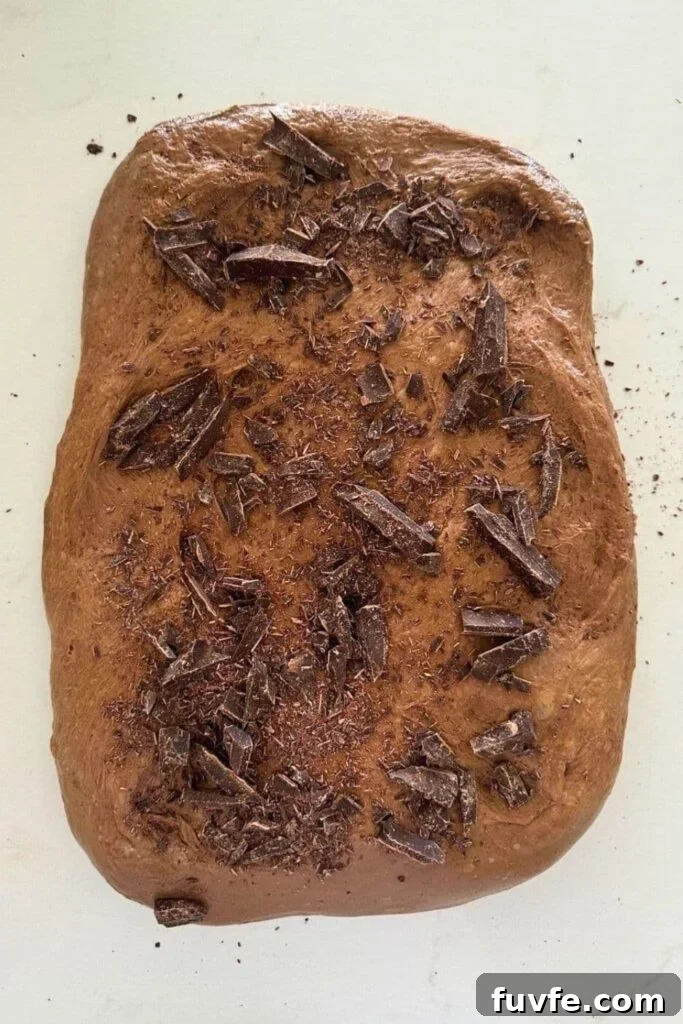 15 Irresistible Chocolate Sourdough Recipes to Try Today 4 A rectangle of chocolate sourdough laid out on the counter and topped with chunks of chocolate sprinkled over the top of the dough.