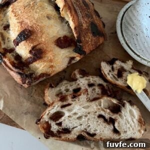 15 Irresistible Chocolate Sourdough Recipes to Try Today 35 CHOCOLATE CHIP SOURDOUGH BREAD - RECIPE FEATURE IMAGE