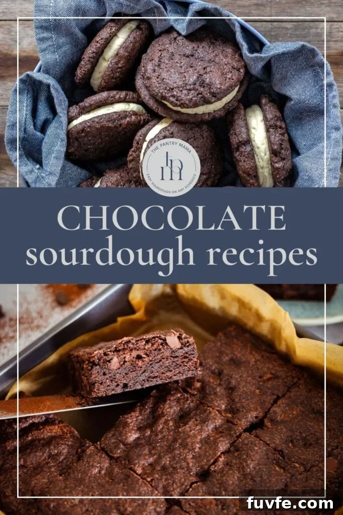 15 Irresistible Chocolate Sourdough Recipes to Try Today 36 Sourdough chocolate recipes - pinterest image