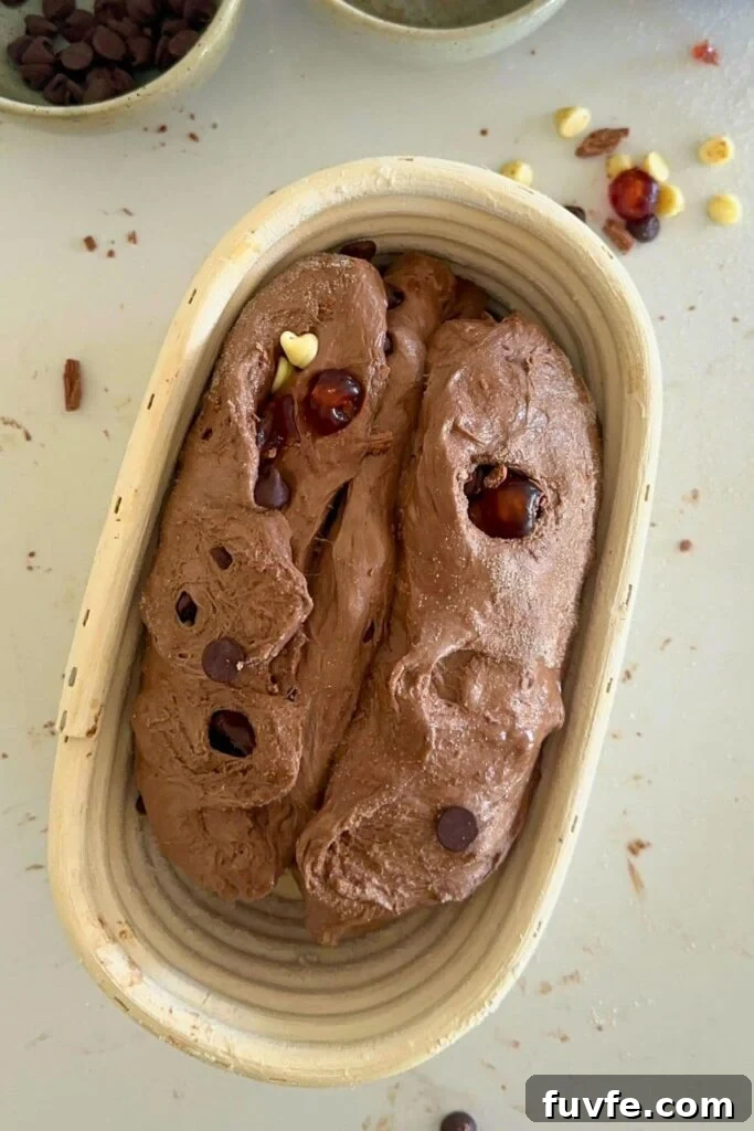 15 Irresistible Chocolate Sourdough Recipes to Try Today 5 A loaf of sourdough chocolate cherry bread that has been shaped and is sitting in a banneton. The dough is very tight and starting to split open at the bottom.