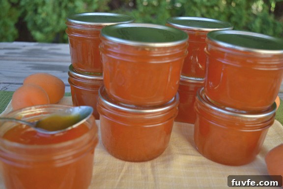 Jam Making Guide: Long-Cook vs. Quick-Cook Methods Compared 2 img 3036 1
