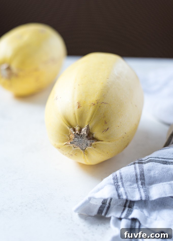 Spaghetti squash laying on its side
