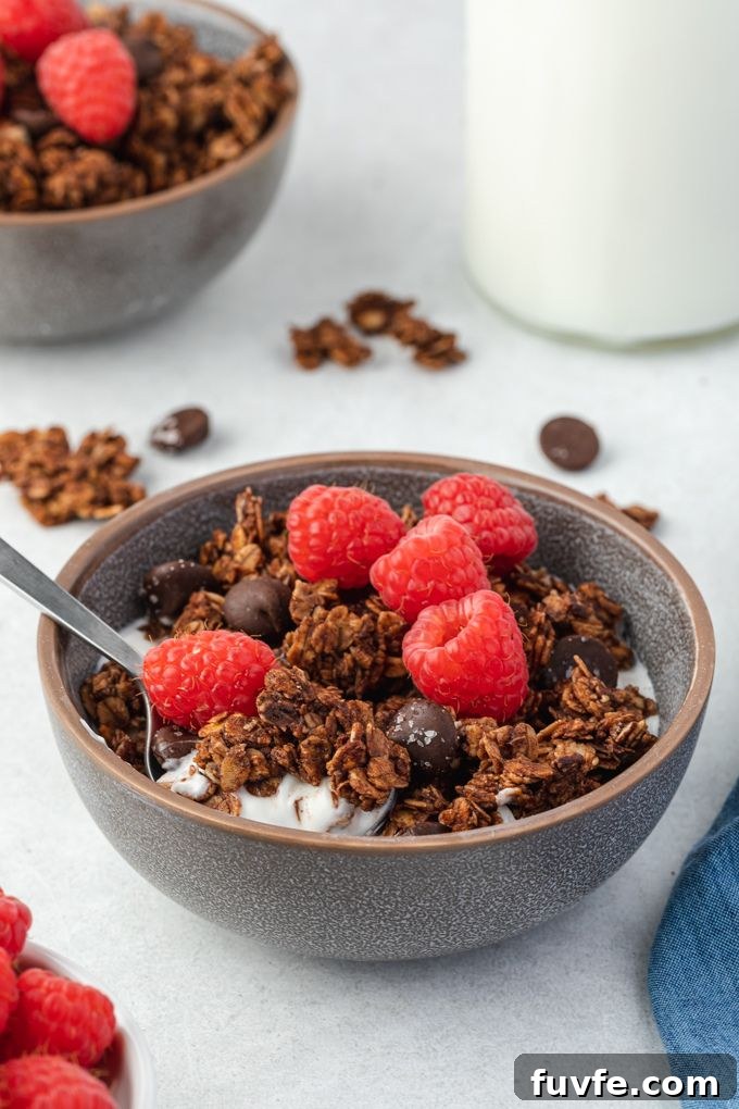 Chocolate granola in a bowl with raspberries