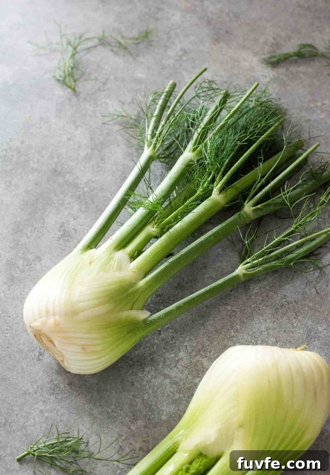 Fennel